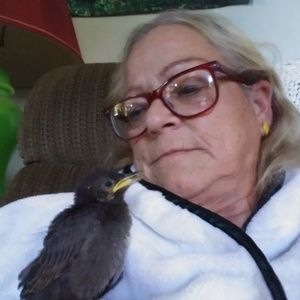 Meet your Posher, Beverly